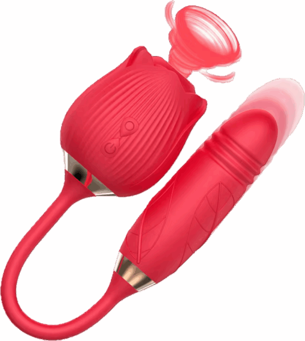 2 in 1 rose and vibrator